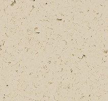 Кварцвиниловые полы Forbo Allura Colour/Colour Plus C68012-651012 pearl grey фото 1 | FLOORDEALER